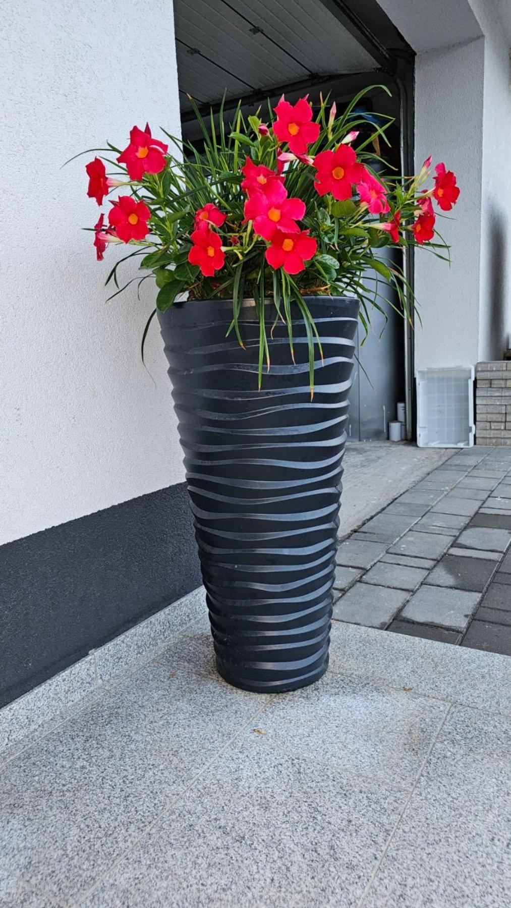 Apartmani Muric 卢布尔雅那 外观 照片